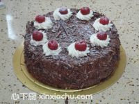 ��ʽ��ɭ�ֵ���ļҳ�������8���DƬ���E m.xalove.com.cn