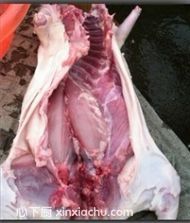 純正兔汁的家常做法第1步圖片步驟 m.xalove.com.cn