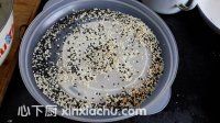 紅棗芝麻糯米煎餅的家常做法第3步圖片步驟 m.xalove.com.cn