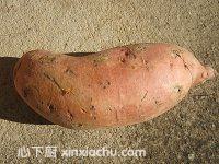 ������ɳļҳ�������1���DƬ���E m.xalove.com.cn