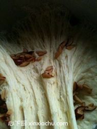 �t�����z�^�ļҳ�������5���DƬ���E m.xalove.com.cn