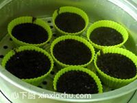 黑米涼糕的家常做法第14步圖片步驟 m.xalove.com.cn