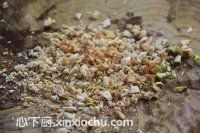 ��ʽ���ǝ{��˾�ļҳ�������14���DƬ���E m.xalove.com.cn