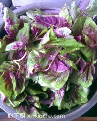 千層糕的家常做法第1步圖片步驟 m.xalove.com.cn