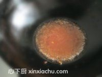 �����u�K�ļҳ�������12���DƬ���E m.xalove.com.cn