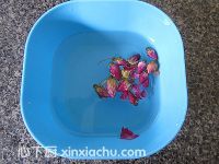 ���O��õ�廨��ļҳ�������3���DƬ���E m.xalove.com.cn