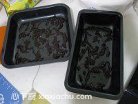 ���D(zhu��n)���}����ļҳ�������5���DƬ���E m.xalove.com.cn