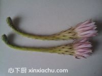 曇花冰糖雪梨的家常做法第6步圖片步驟 m.xalove.com.cn