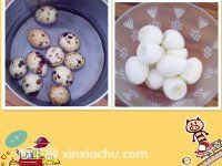 銀耳燉鵪鶉蛋的家常做法第2步圖片步驟 m.xalove.com.cn