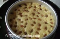 玉米發(fā)糕的家常做法第6步圖片步驟 m.xalove.com.cn