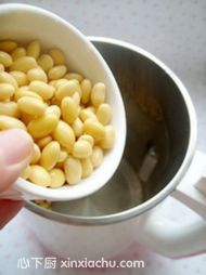 紅棗枸杞豆?jié){的家常做法第4步圖片步驟 m.xalove.com.cn