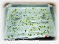 �[����ȵ�����ļҳ�������1���DƬ���E m.xalove.com.cn