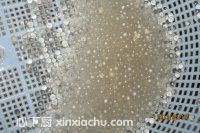 �p����������¶�ļҳ�������7���DƬ���E m.xalove.com.cn