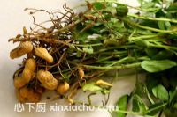 �������ļҳ�������1���DƬ���E m.xalove.com.cn