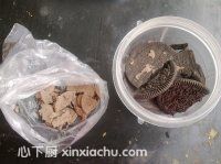 ������ƃ�֥ʿ����ļҳ�������3���DƬ���E m.xalove.com.cn