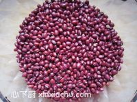 �t��ɳ�ļҳ�������1���DƬ���E m.xalove.com.cn