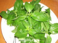 薄荷冰淇淋的家常做法第7步圖片步驟 m.xalove.com.cn