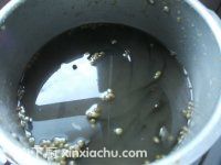 �����G����ˮ�ļҳ�������6���DƬ���E m.xalove.com.cn