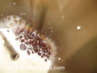 �t����������ļҳ�������2���DƬ���E m.xalove.com.cn