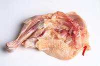 �m���u���ļҳ�������1���DƬ���E m.xalove.com.cn