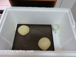 OREO���˾�ļҳ�������5���DƬ���E m.xalove.com.cn