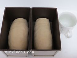 OREO���˾�ļҳ�������7���DƬ���E m.xalove.com.cn