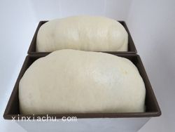 OREO���˾�ļҳ�������8���DƬ���E m.xalove.com.cn