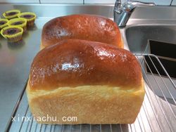 OREO���˾�ļҳ�������9���DƬ���E m.xalove.com.cn