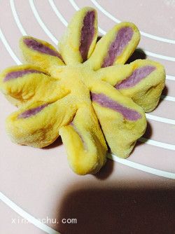 菊花面包的家常做法第8步圖片步驟 m.xalove.com.cn